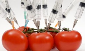 genetically-modified-foods